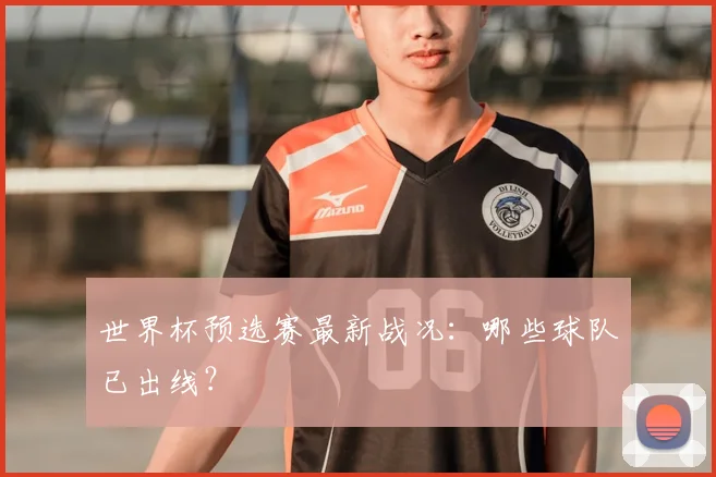世界杯预选赛最新战况：哪些球队已出线？