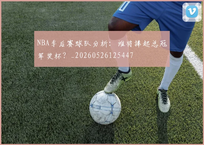 NBA季后赛球队分析：谁将捧起总冠军奖杯？_20260526125447